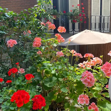 A Casa Di Rachele דירה מרינה רומיאה