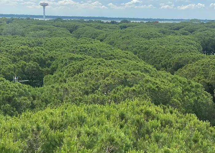 A Casa Di Rachele Διαμέρισμα Marina Romea