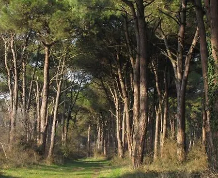 A Casa Di Rachele