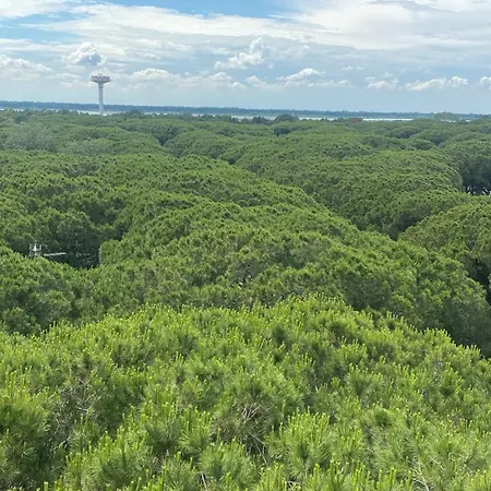 A Casa Di Rachele アパート マリーナ・ロメア