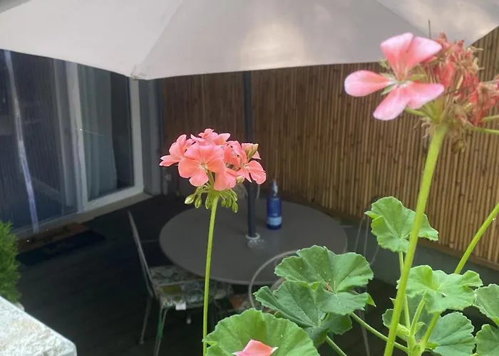 아파트 A Casa Di Rachele 마리나로미에