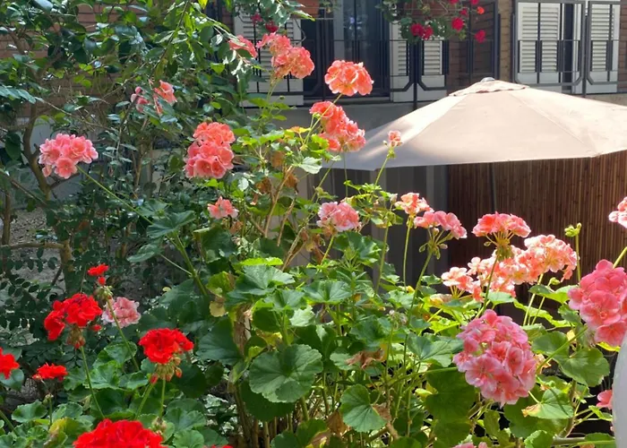 A Casa Di Rachele 아파트 마리나로미에